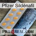 Pfizer Sildénafil 44